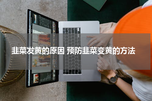 韭菜发黄的原因 预防韭菜变黄的方法